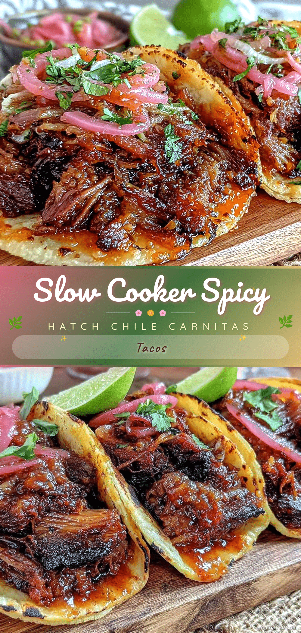 slow cooker hatch chile pork carnitas tacos recipe